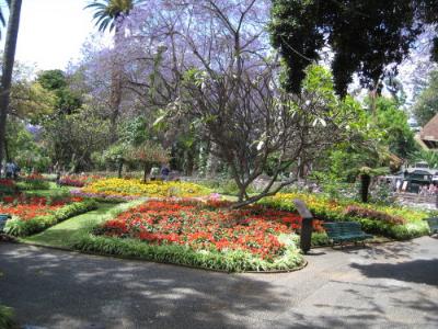 Madeira - gardens